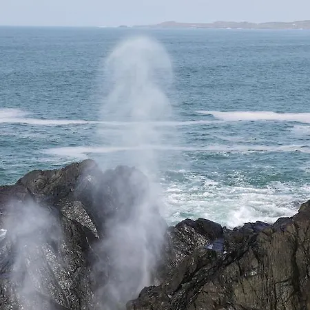 Inishfree