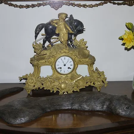 Inishfree كولداف