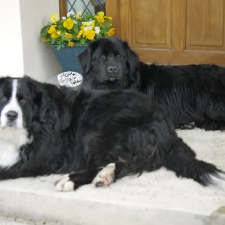 Bed & Breakfast Inishfree *