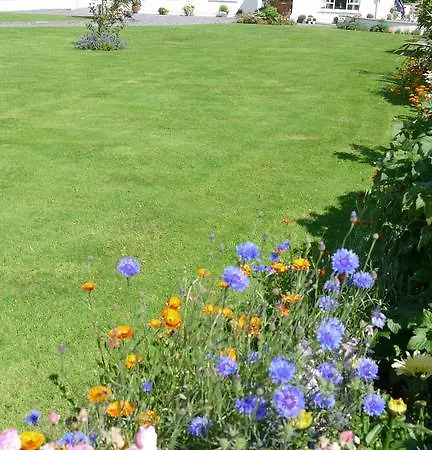 Inishfree كولداف