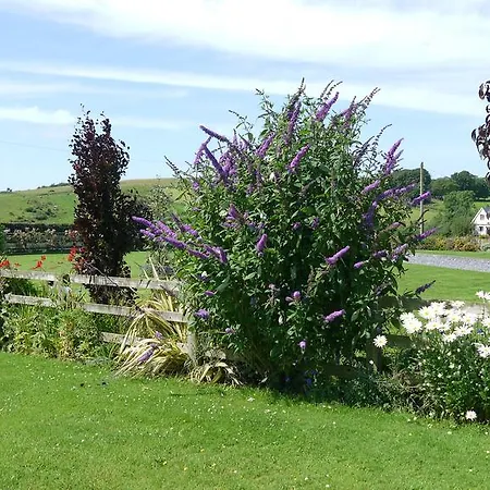 Inishfree فندق مبيت وإفطار *