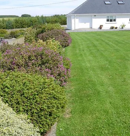 Inishfree Bed & Breakfast *