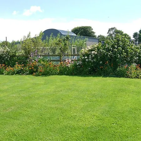 Inishfree Bed & Breakfast *