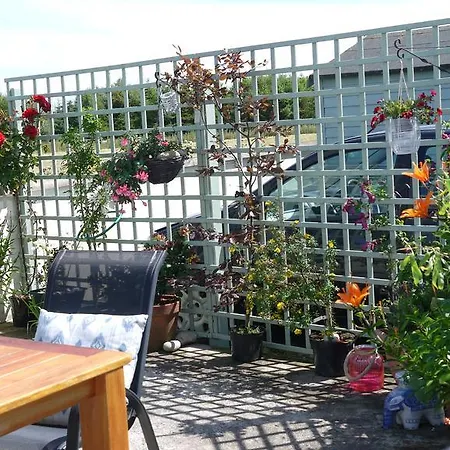 فندق مبيت وإفطار Inishfree *