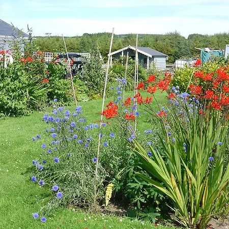 Inishfree * كولداف