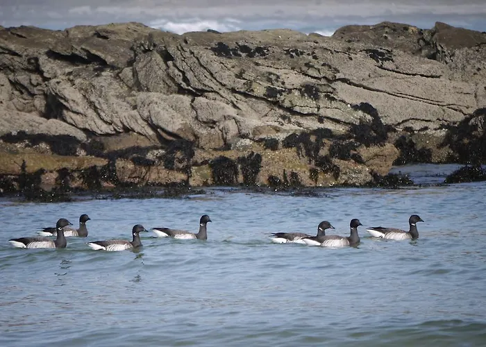 Oda ve Kahvaltı Inishfree Culdaff