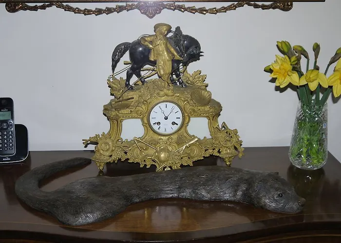 Inishfree 卡尔达夫