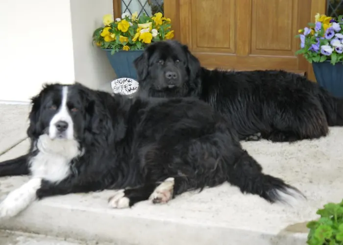 住宿加早餐酒店 Inishfree *