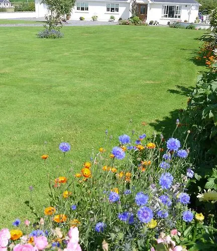 Inishfree 卡尔达夫