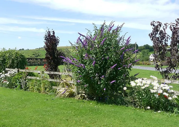 Inishfree Oda ve Kahvaltı *