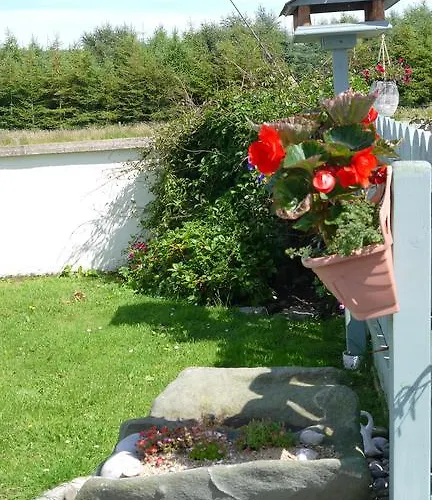 Oda ve Kahvaltı Inishfree