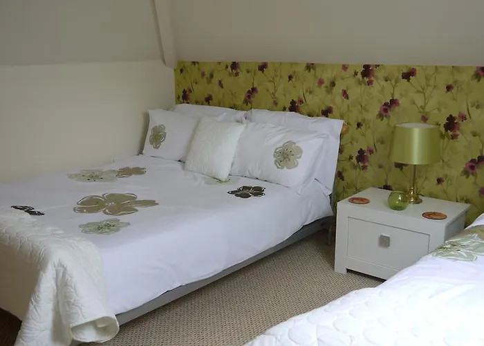 Inishfree 住宿加早餐酒店 *