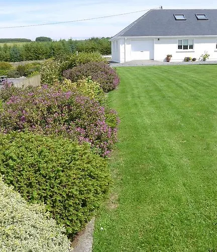 Inishfree Oda ve Kahvaltı *